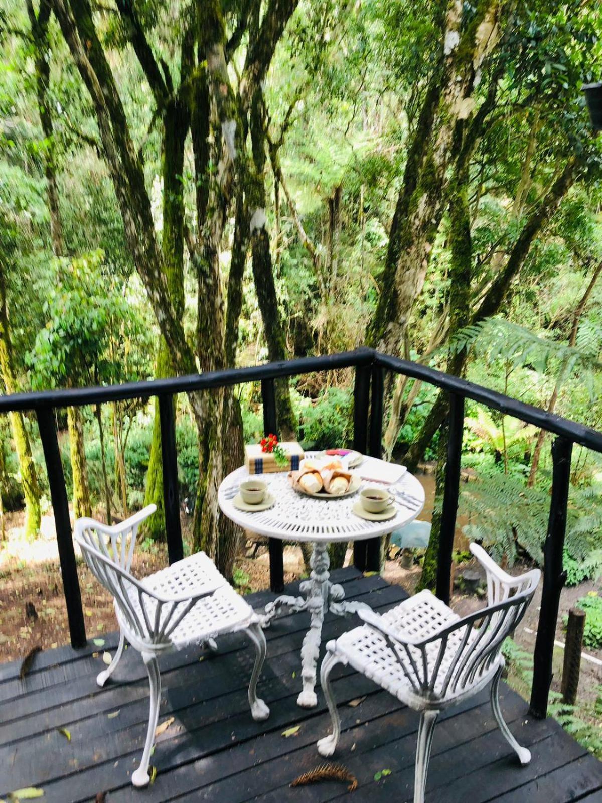 Little Cabana Com Hidromassagem Campos do Jordão Eksteriør billede