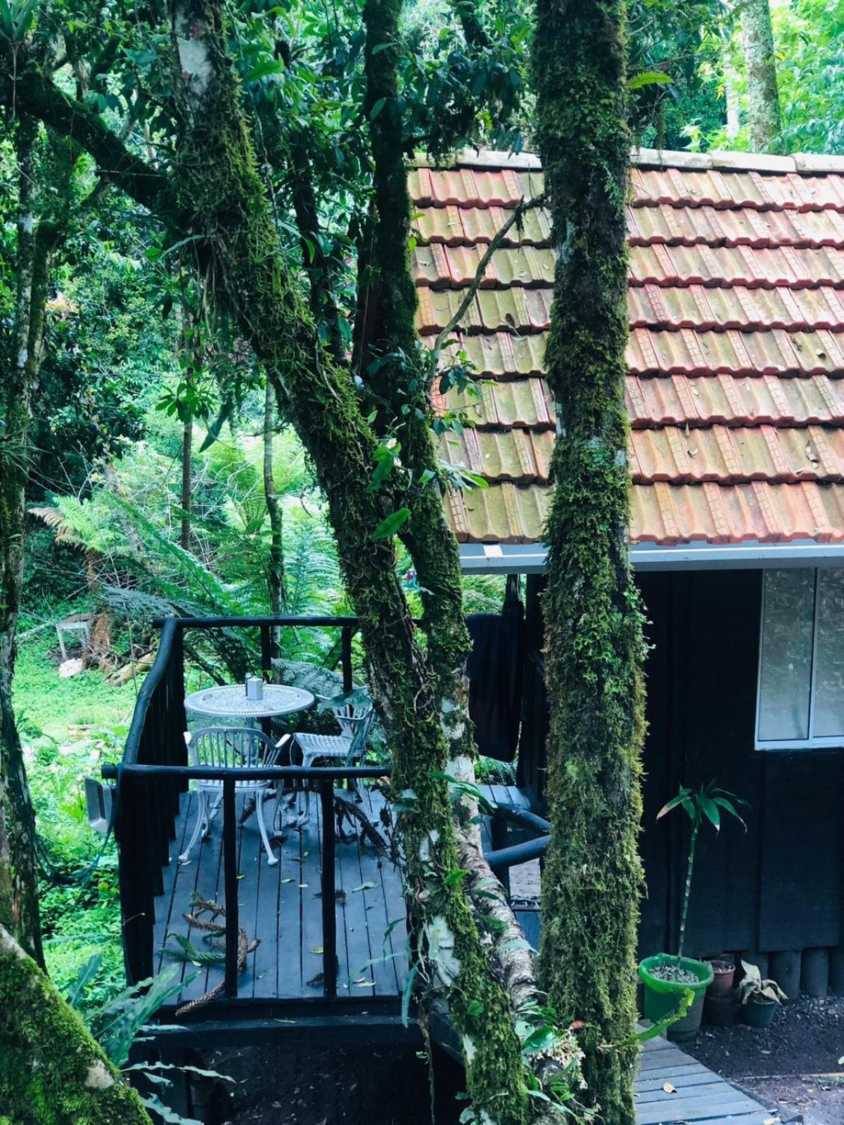 Little Cabana Com Hidromassagem Campos do Jordão Eksteriør billede
